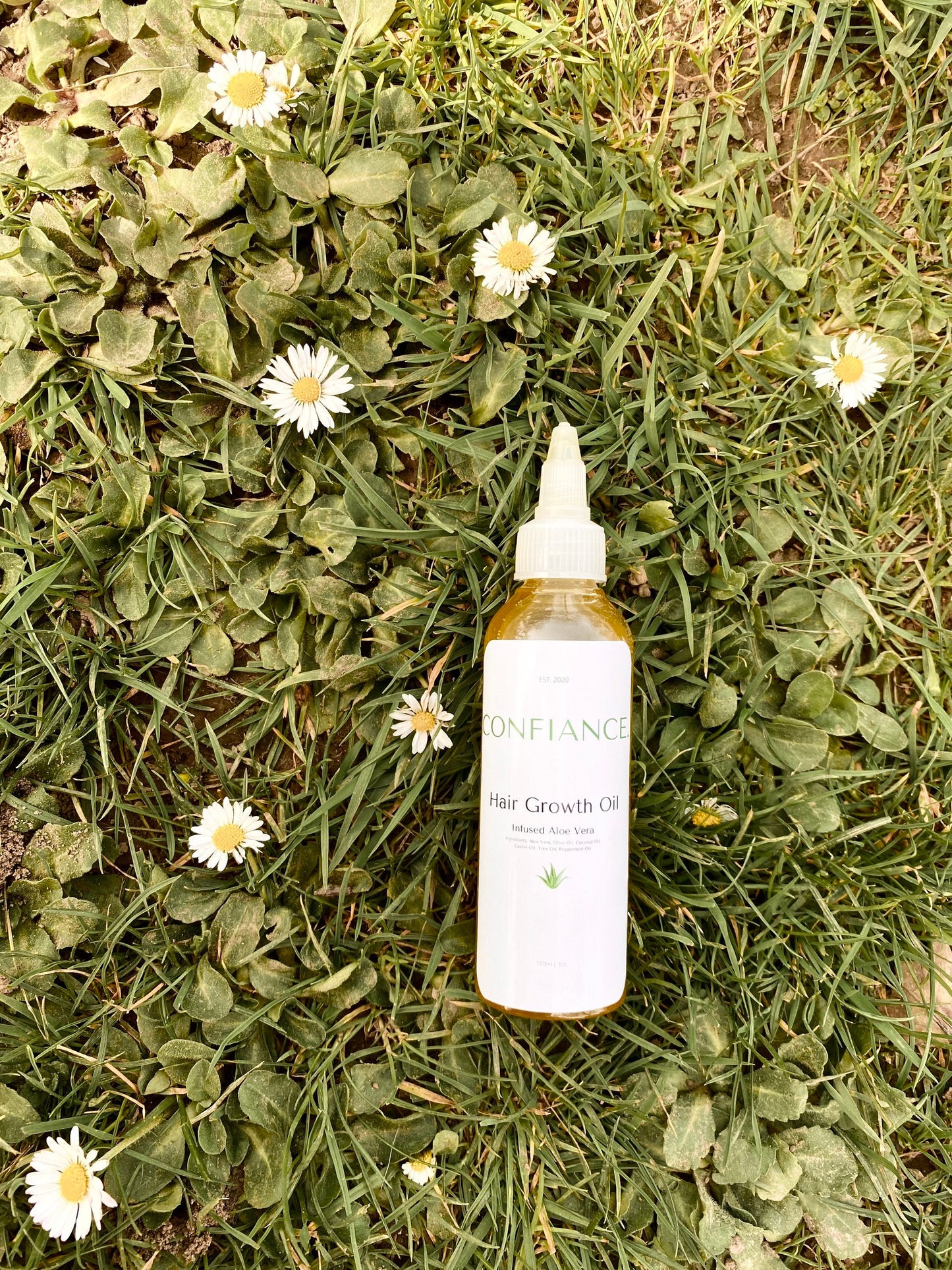 Hair Growth Aloe Vera Oil | Aloe Vera | Hair Growth Oil | Hair Oil